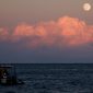 Ilustrasi Harvest Moon (Foto: REUTERS/Darrin Zammit Lupi)
