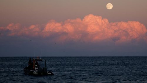 Ilustrasi Harvest Moon (Foto: REUTERS/Darrin Zammit Lupi)