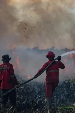DPR Desak Karhutla Ditetapkan sebagai Bencana Nasional