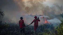 Petugas berupaya memadamkan api saat karhutla melanda kawasan vegetasi.(Foto : AL ZULKIFLI/AFP)