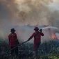 Petugas berupaya memadamkan api saat karhutla melanda kawasan vegetasi.(Foto : AL ZULKIFLI/AFP)