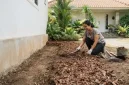 Cara Atasi Rayap di Rumah. (AI Generated)