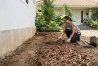 Cara Atasi Rayap di Rumah. (AI Generated)
