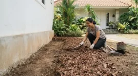 Cara Atasi Rayap di Rumah. (AI Generated)