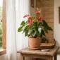 Cara Rawat Anthurium di Rumah. (AI Generated)