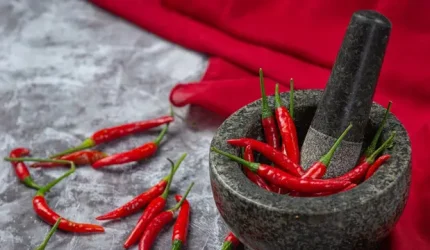 Cabai merah, cobek, dan ulekan untuk membuat sambal tradisional Indonesia.
