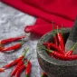 Ilustrasi Cabai Cobek Ulekan Sambal / Freepik by jcomp