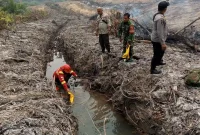 Ilustrasi kebakaran hutan dan lahan di Provinsi Jambi. Lima wilayah menerima alokasi anggaran penanganan karhutla pada 2026.  (Foto : Ist/Dok Polda Jambi)