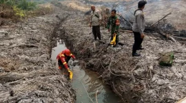 Ilustrasi kebakaran hutan dan lahan di Provinsi Jambi. Lima wilayah menerima alokasi anggaran penanganan karhutla pada 2026.  (Foto : Ist/Dok Polda Jambi)