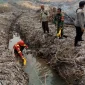 Ilustrasi kebakaran hutan dan lahan di Provinsi Jambi. Lima wilayah menerima alokasi anggaran penanganan karhutla pada 2026.  (Foto : Ist/Dok Polda Jambi)