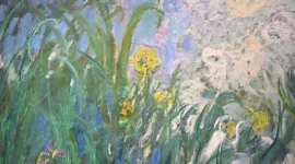 Lukisan Iris karya Claude Monet mencetak rekor sebagai karya seni termahal yang pernah terjual di lelang Prancis.(Foto : Sumber: LOU BENOIST / AFP)