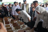 Harga Beras, Stok Beras, Produksi Padi, Pasokan Beras, Harga Pangan