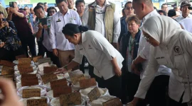 Harga Beras, Stok Beras, Produksi Padi, Pasokan Beras, Harga Pangan