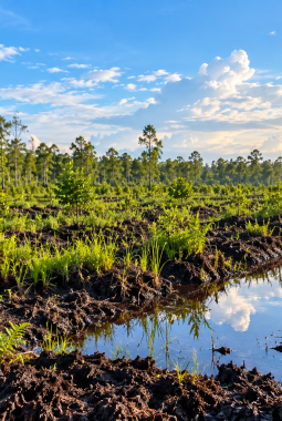BPGMN Perkuat Mitigasi Bencana Kebakaran Hutan dan Lahan