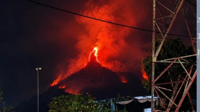 Kebakaran hutan melanda kawasan Gunung Arjuno-Welirang, Pasuruan.