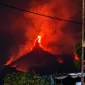 Kebakaran hutan melanda kawasan Gunung Arjuno-Welirang, Pasuruan.