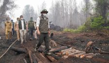 Menhut Raja Juli Antoni memantau penanganan kebakaran hutan dan lahan di Taman Nasional Tanjung Puting.(Foto : Kemenhut RI)