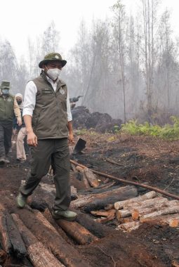 Menhut Petakan Empat Titik Karhutla di Tanjung Puting