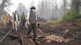 Menhut Raja Juli Antoni memantau penanganan kebakaran hutan dan lahan di Taman Nasional Tanjung Puting.(Foto : Kemenhut RI)