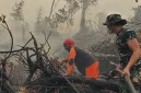 Tim gabungan melakukan pemadaman dan pendinginan untuk mencegah kebakaran hutan dan lahan meluas di Tahura Orang Kayo Hitam, Jambi.(Foto : Dok.Istimewa)