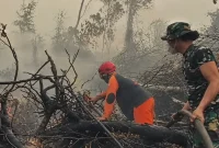 Tim gabungan melakukan pemadaman dan pendinginan untuk mencegah kebakaran hutan dan lahan meluas di Tahura Orang Kayo Hitam, Jambi.(Foto : Dok.Istimewa)
