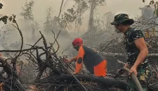 Tim gabungan melakukan pemadaman dan pendinginan untuk mencegah kebakaran hutan dan lahan meluas di Tahura Orang Kayo Hitam, Jambi.(Foto : Dok.Istimewa)