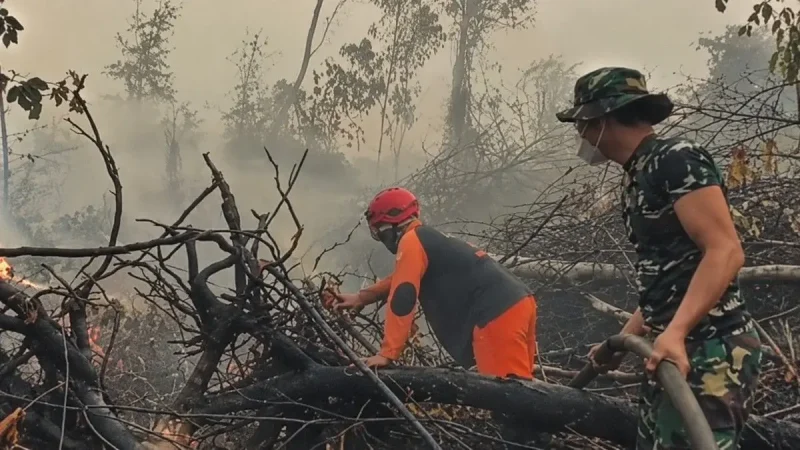 Tim gabungan melakukan pemadaman dan pendinginan untuk mencegah kebakaran hutan dan lahan meluas di Tahura Orang Kayo Hitam, Jambi.(Foto : Dok.Istimewa)