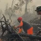 Tim gabungan melakukan pemadaman dan pendinginan untuk mencegah kebakaran hutan dan lahan meluas di Tahura Orang Kayo Hitam, Jambi.(Foto : Dok.Istimewa)