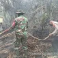 Pemprov Jambi mengalokasikan dana Banpres Rp30 miliar untuk mendukung penanganan karhutla.(Foto : Tribun Jambi/Rifani Halim)