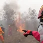 Singapura menyoroti tujuh perusahaan Indonesia terkait karhutla dan kabut asap lintas batas, sementara DPR mendesak pemerintah membuka data 52 perusahaan yang diduga terkait kebakaran hutan.(Foto : tribunnews.com/HO)
