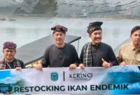 Bupati Monadi menebar bibit ikan semah di Danau Kerinci.