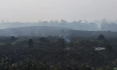 Banpres Rp125 Miliar untuk Karhutla Jambi, Ini Rinciannya