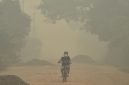 BMKG mendeteksi sebaran asap karhutla dari Kalimantan hingga wilayah Jakarta, Banten, dan Jawa Barat.(Foto : detik.com)
