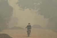 BMKG mendeteksi sebaran asap karhutla dari Kalimantan hingga wilayah Jakarta, Banten, dan Jawa Barat.(Foto : detik.com)