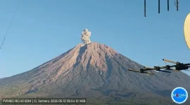 Gunung Semeru di Lumajang, Jawa Timur, alami erupsi (Foto: Magma Indonesia)