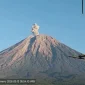 Gunung Semeru di Lumajang, Jawa Timur, alami erupsi (Foto: Magma Indonesia)