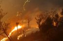 Karhutla di kawasan Bromo menewaskan enam orang petugas. Foto: Arsip BPBD Jawa Timur