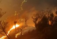 Karhutla di kawasan Bromo menewaskan enam orang petugas. Foto: Arsip BPBD Jawa Timur