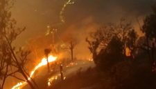 Karhutla di kawasan Bromo menewaskan enam orang petugas. Foto: Arsip BPBD Jawa Timur