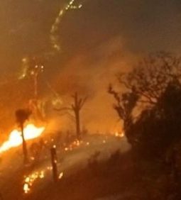Karhutla Bromo, Enam Orang Meninggal Dunia