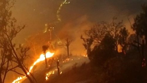 Karhutla di kawasan Bromo menewaskan enam orang petugas. Foto: Arsip BPBD Jawa Timur