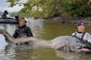 Pemancing Taklukkan Lele Raksasa, Tarung 30 Menit. Foto: Euro News