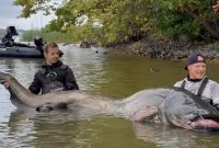 Pemancing Taklukkan Lele Raksasa, Tarung 30 Menit. Foto: Euro News