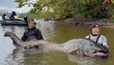 Pemancing Taklukkan Lele Raksasa, Tarung 30 Menit. Foto: Euro News