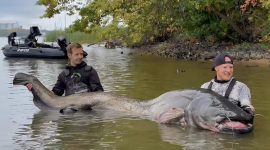 Pemancing Taklukkan Lele Raksasa, Tarung 30 Menit. Foto: Euro News