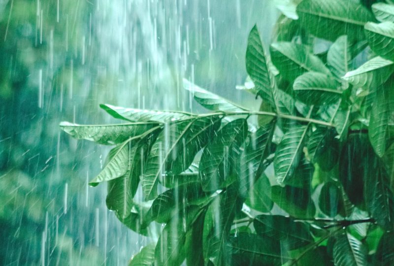 Ilustrasi hujan (Foto: Pexels)
